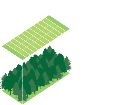 one and a third acres of trees