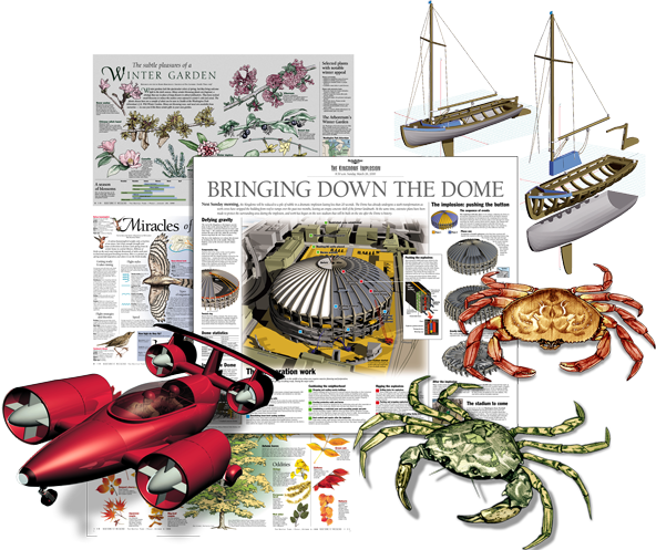 graphic images collage.