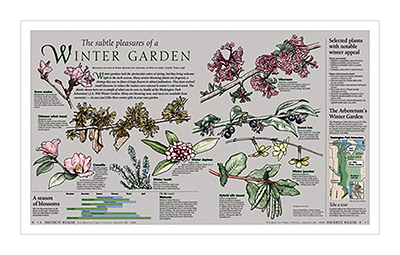 Wintergarden page